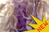 Lindsay Lohan Playboy Internet Promo