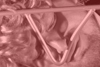 Vagina